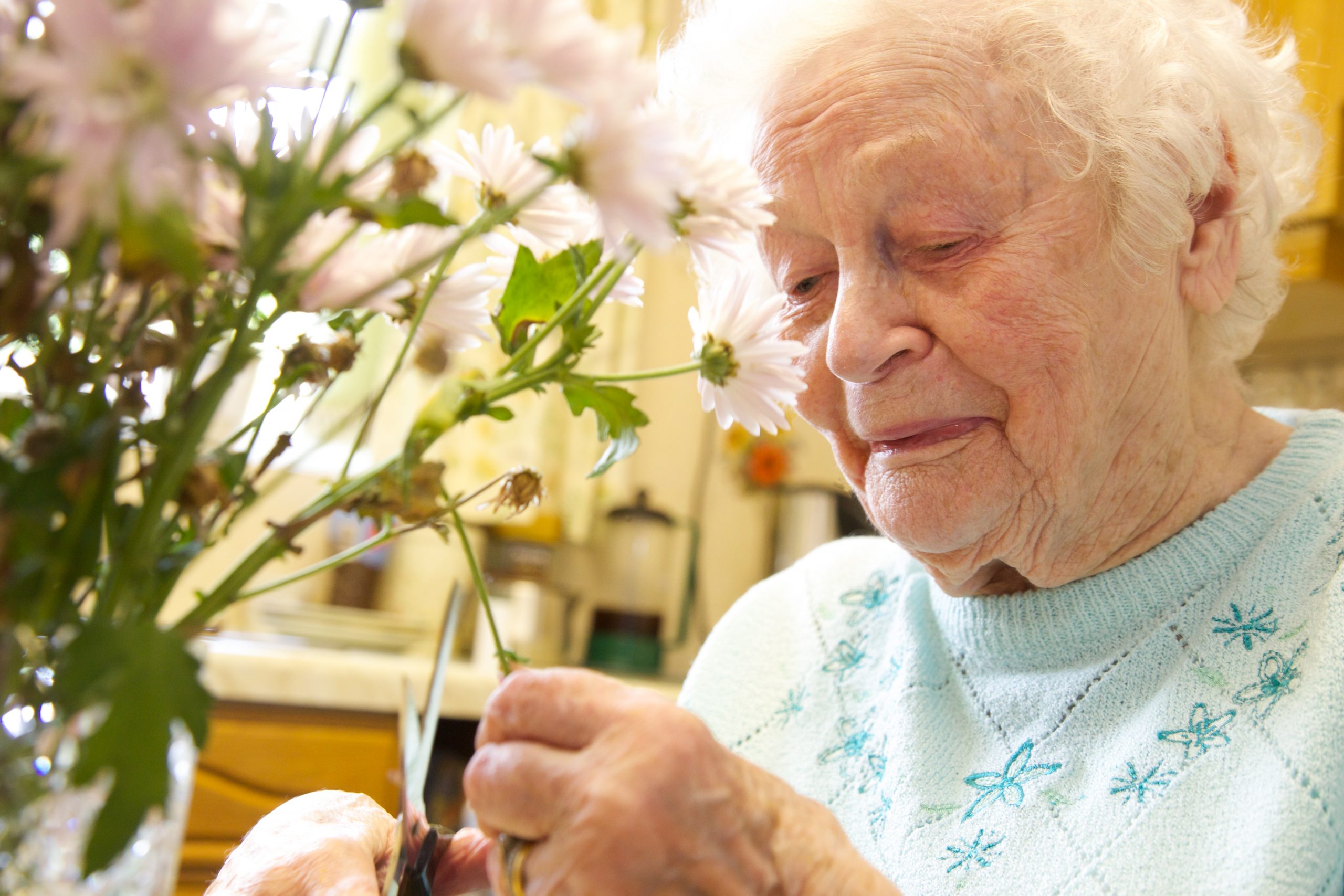 Dementia care at Rodwell House